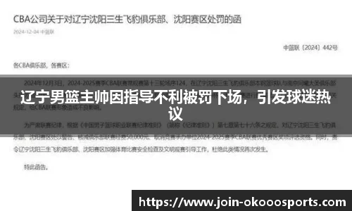 辽宁男篮主帅因指导不利被罚下场,引发球迷热议